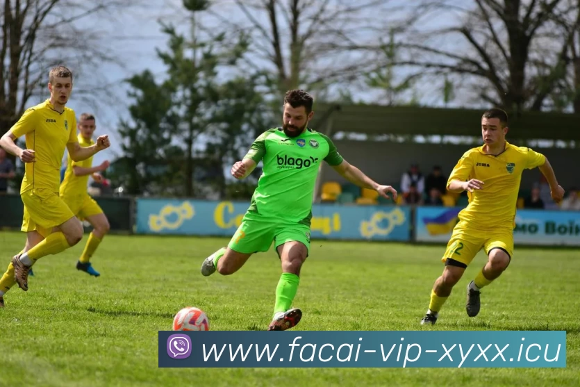 开云体育注册品牌故事