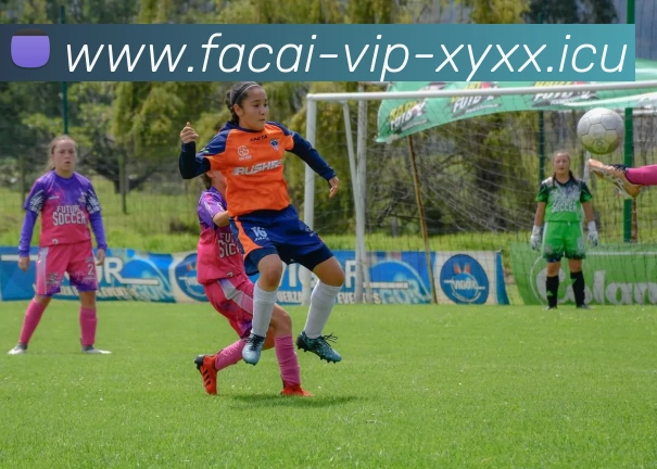 开云体育注册服务体系